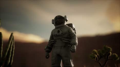 Astronauta-En-El-Alto-Desierto-De-Nevada